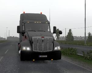 彼得比尔特579 custom 1.39